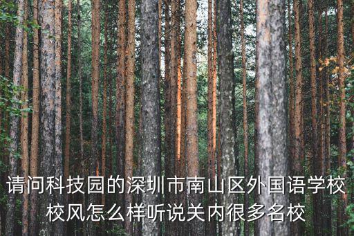 請問科技園的深圳市南山區外國語學校校風怎么樣聽說關內很多名校