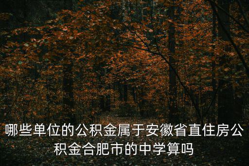 哪些單位的公積金屬于安徽省直住房公積金合肥市的中學算嗎