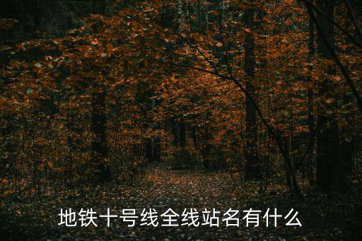 地鐵十號線全線站名有什么