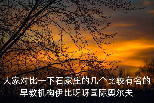 石家莊美吉姆，大家對比一下石家莊的幾個比較有名的早教機構伊比呀呀國際奧爾夫