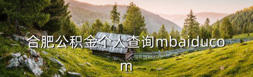 合肥公積金個人查詢mbaiducom