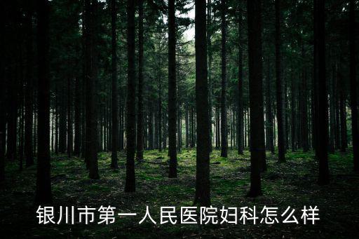 銀川市第一人民醫(yī)院，銀川市第一人民醫(yī)院婦科怎么樣