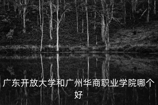 廣東開放大學和廣州華商職業學院哪個好