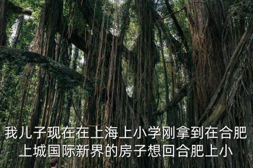 上城國際新界，廬陽區(qū)大潤發(fā)后面小區(qū)叫什么名字
