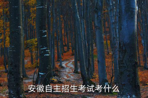 安徽自主招生考試考什么
