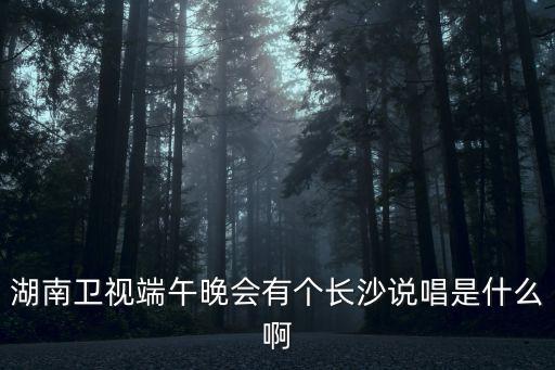 端午節晚會，湖南衛視端午晚會是誰唱了水調歌頭