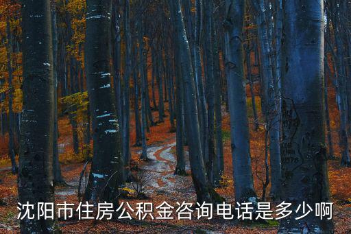 沈陽市住房公積金咨詢電話是多少啊