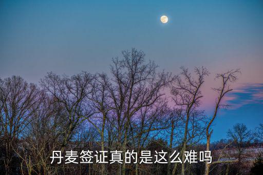 丹麥簽證真的是這么難嗎