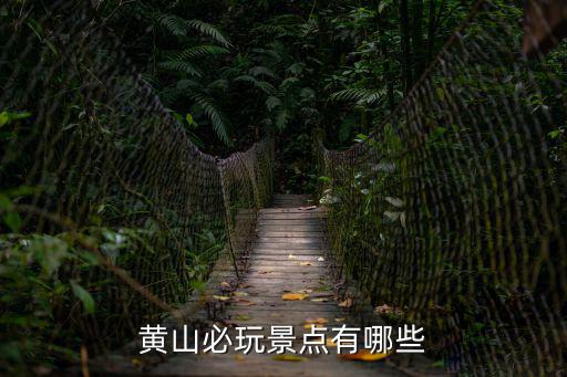 黃山溫泉，黃山溫泉的簡介