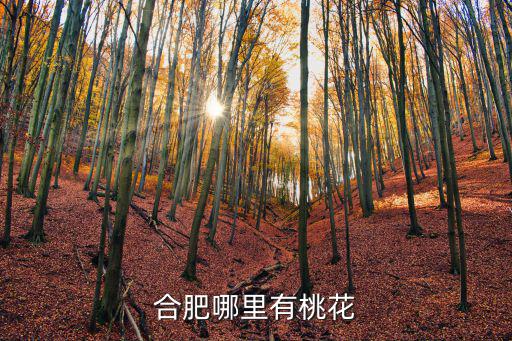 合肥哪里有桃花