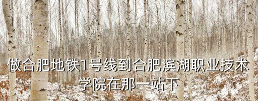 做合肥地鐵1號(hào)線到合肥濱湖職業(yè)技術(shù)學(xué)院在那一站下