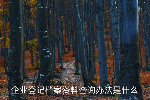 企業(yè)登記檔案資料查詢辦法是什么