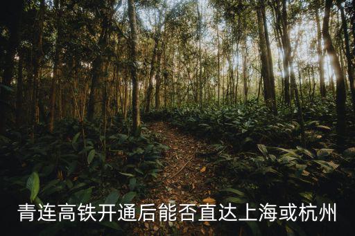 青連鐵路，青連高鐵開通后能否直達上海或杭州