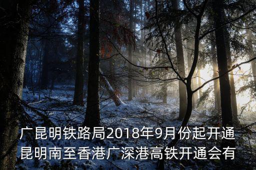 廣昆明鐵路局2018年9月份起開通昆明南至香港廣深港高鐵開通會有