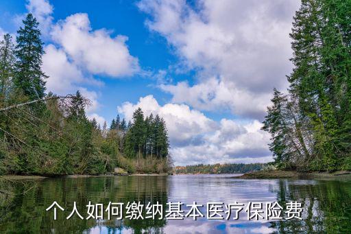 個人如何繳納基本醫療保險費