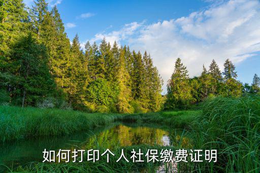 個(gè)人社保參保證明打印，社保證明是怎么打印的