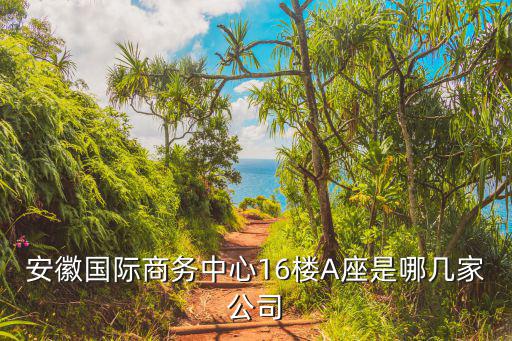 安徽國際商務中心16樓A座是哪幾家公司