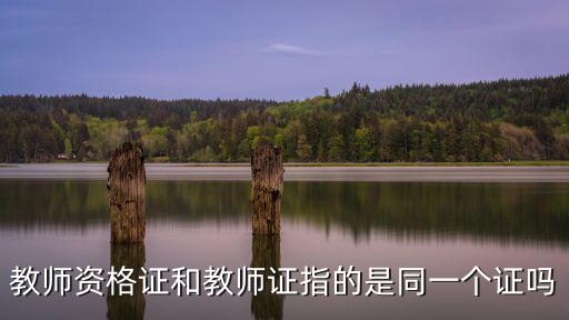 教師資格證和教師證指的是同一個證嗎
