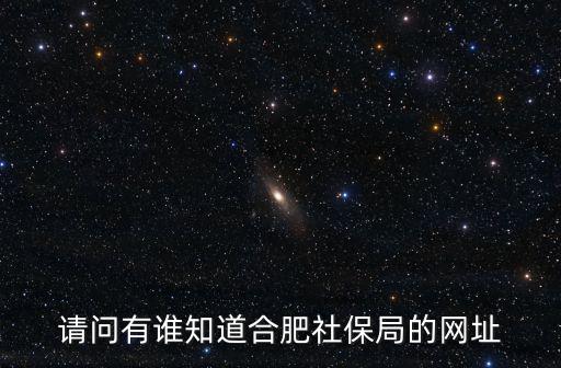 請問有誰知道合肥社保局的網(wǎng)址