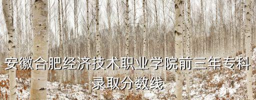 安徽合肥經濟技術職業學院前三年?？其浫》謹稻€