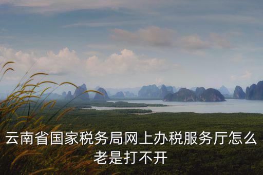 云南省國家稅務局網上辦稅服務廳怎么老是打不開