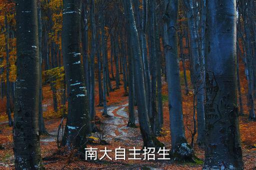 南大自主招生，南京大學自主招生有什么要求嗎