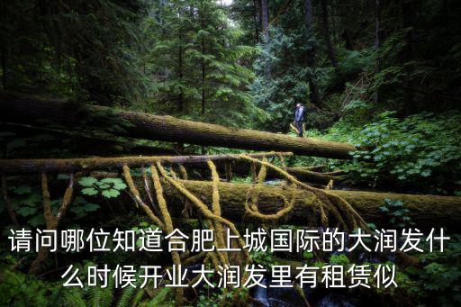 請問哪位知道合肥上城國際的大潤發什么時候開業大潤發里有租賃似