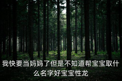 龍劍鋒，我快要當媽媽了但是不知道幫寶寶取什么名字好寶寶性龍