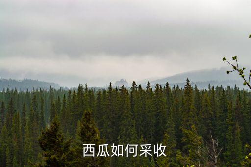 西瓜如何采收