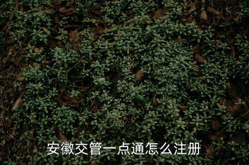 安徽交管一點通怎么注冊