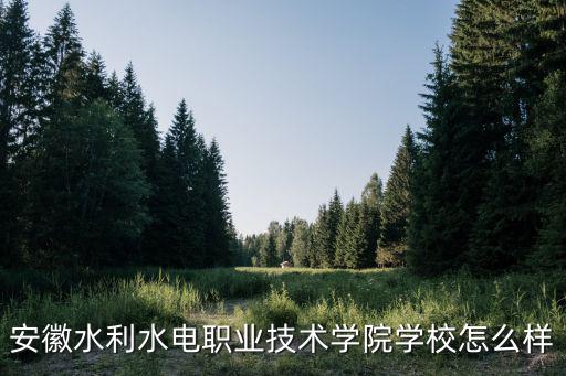 安徽水利水電職業技術學院學校怎么樣