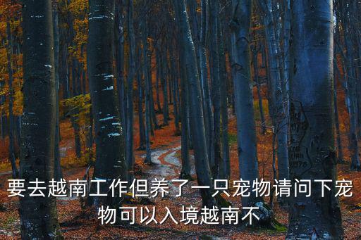 要去越南工作但養了一只寵物請問下寵物可以入境越南不