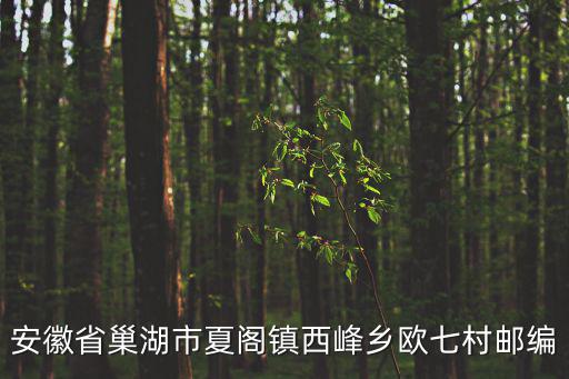 夏閣鎮，誰知道夏閣鎮準確有多少人