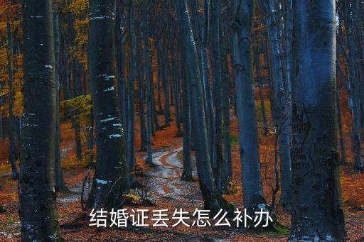 結婚證丟失怎么補辦