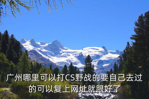 廣州cs野戰(zhàn)，廣州哪里可以打CS野戰(zhàn)的要自己去過(guò)的可以復(fù)上網(wǎng)址就跟好了