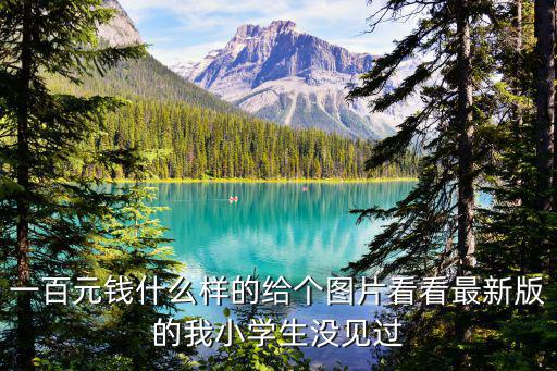 一百元錢什么樣的給個圖片看看最新版的我小學生沒見過