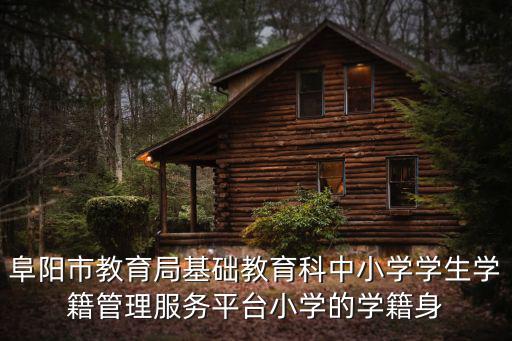 阜陽市教育局基礎教育科中小學學生學籍管理服務平臺小學的學籍身