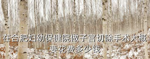 在合肥婦幼保健院做子宮切除手術(shù)大概要花費(fèi)多少錢
