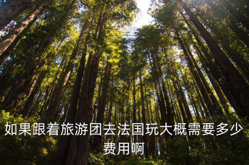 如果跟著旅游團去法國玩大概需要多少費用啊