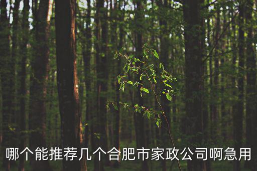 哪個能推薦幾個合肥市家政公司啊急用