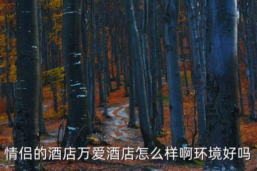 情侶的酒店萬愛酒店怎么樣啊環境好嗎