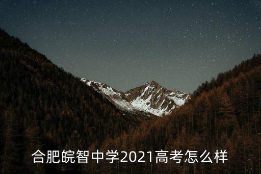 合肥皖智中學2021高考怎么樣
