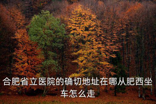 合肥省立醫院的確切地址在哪從肥西坐車怎么走
