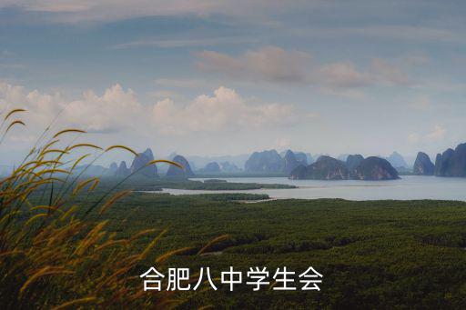 合肥八中學(xué)生會