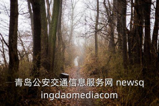 青島公安交通信息服務網 newsqingdaomediacom