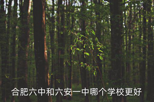 合肥六中和六安一中哪個學校更好