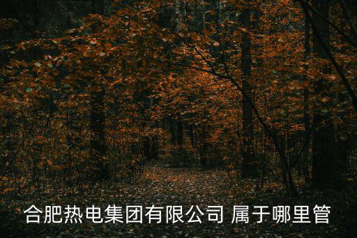 合肥熱電集團有限公司 屬于哪里管