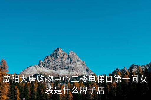 大唐購物中心，咸陽大唐購物中心二樓電梯口第一間女裝是什么牌子店
