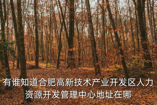 有誰知道合肥高新技術(shù)產(chǎn)業(yè)開發(fā)區(qū)人力資源開發(fā)管理中心地址在哪