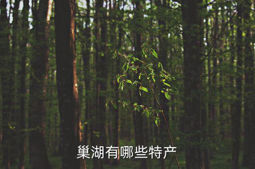 巢湖有哪些特產(chǎn)